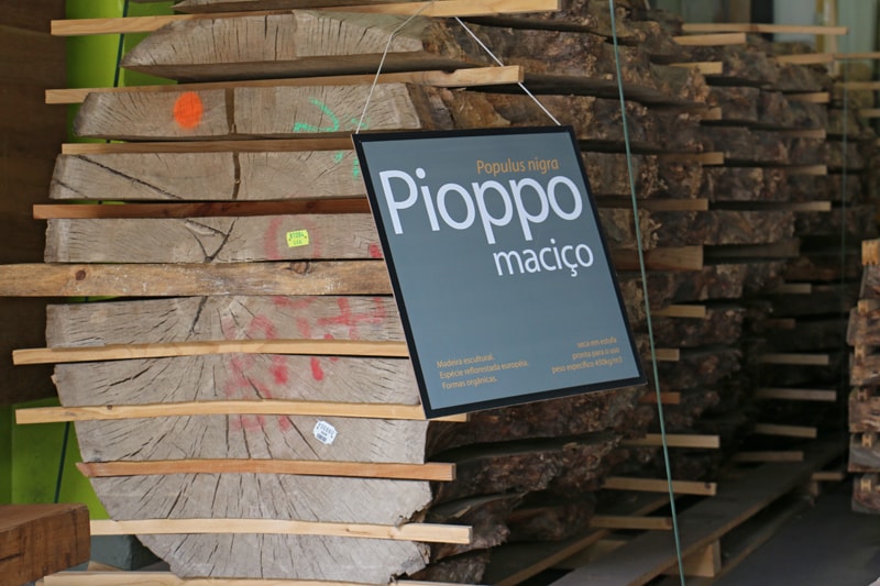 Pioppo pranchas Pioppo pranchas madeira natural madeireira bernauer
